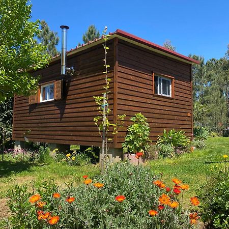 Casa Carini Villa Sertã Exteriör bild