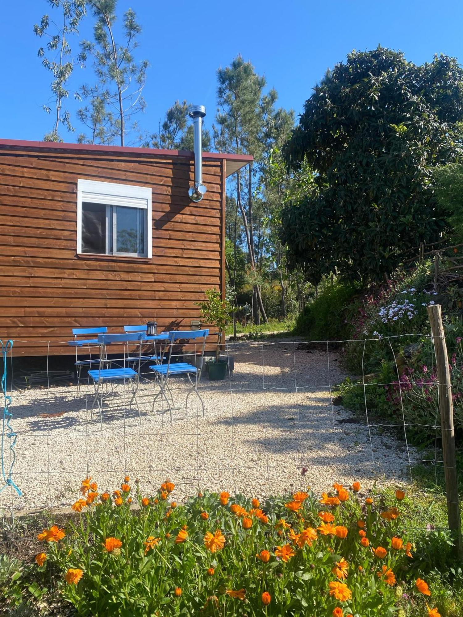 Casa Carini Villa Sertã Exteriör bild